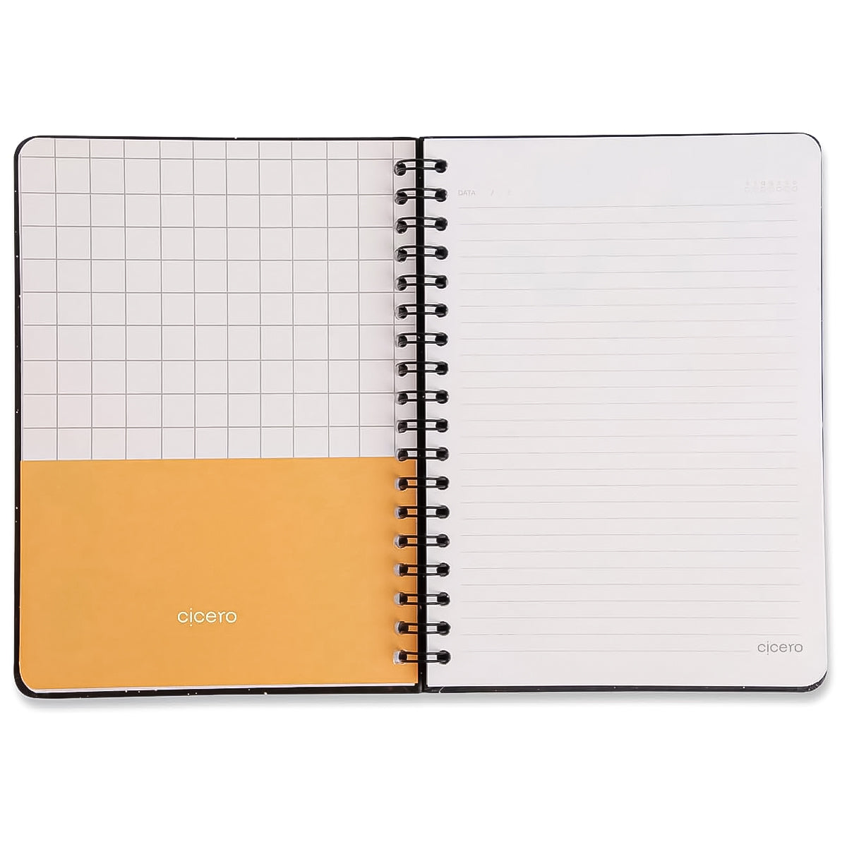 Caderno Colegial Cicero Espiral 173x240mm 80 Folhas Pautado  Jardim