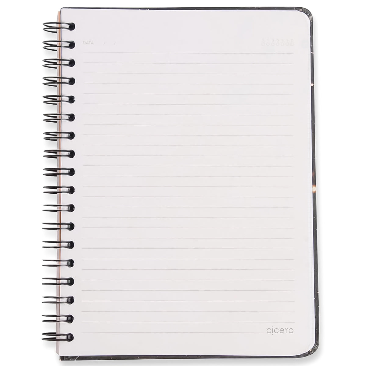 Caderno Colegial Cicero Espiral 173x240mm 80 Folhas Pautado  Jardim