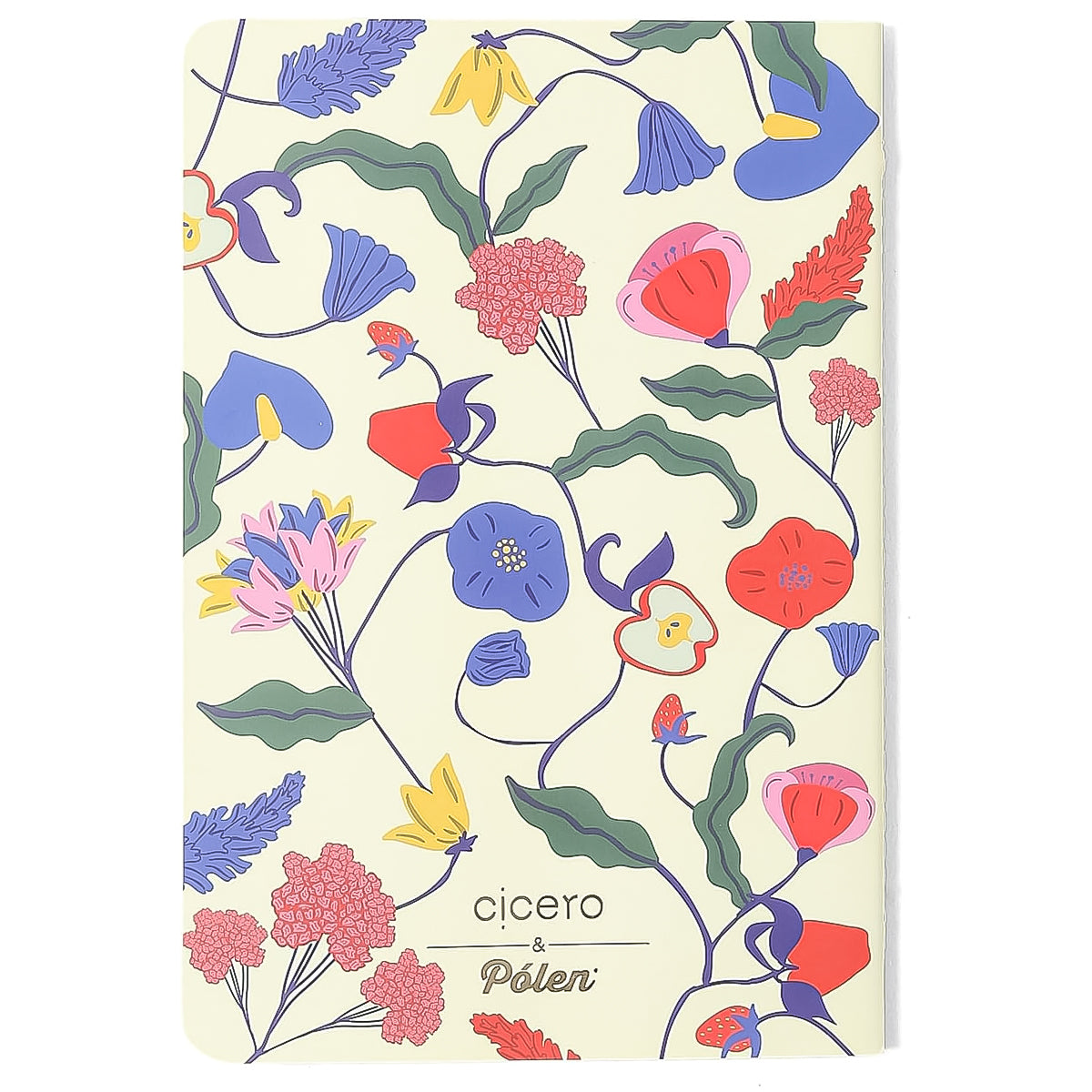 Caderneta Meu Pequeno Cicero 14x21cm 64 Páginas Pautado Doce Florada