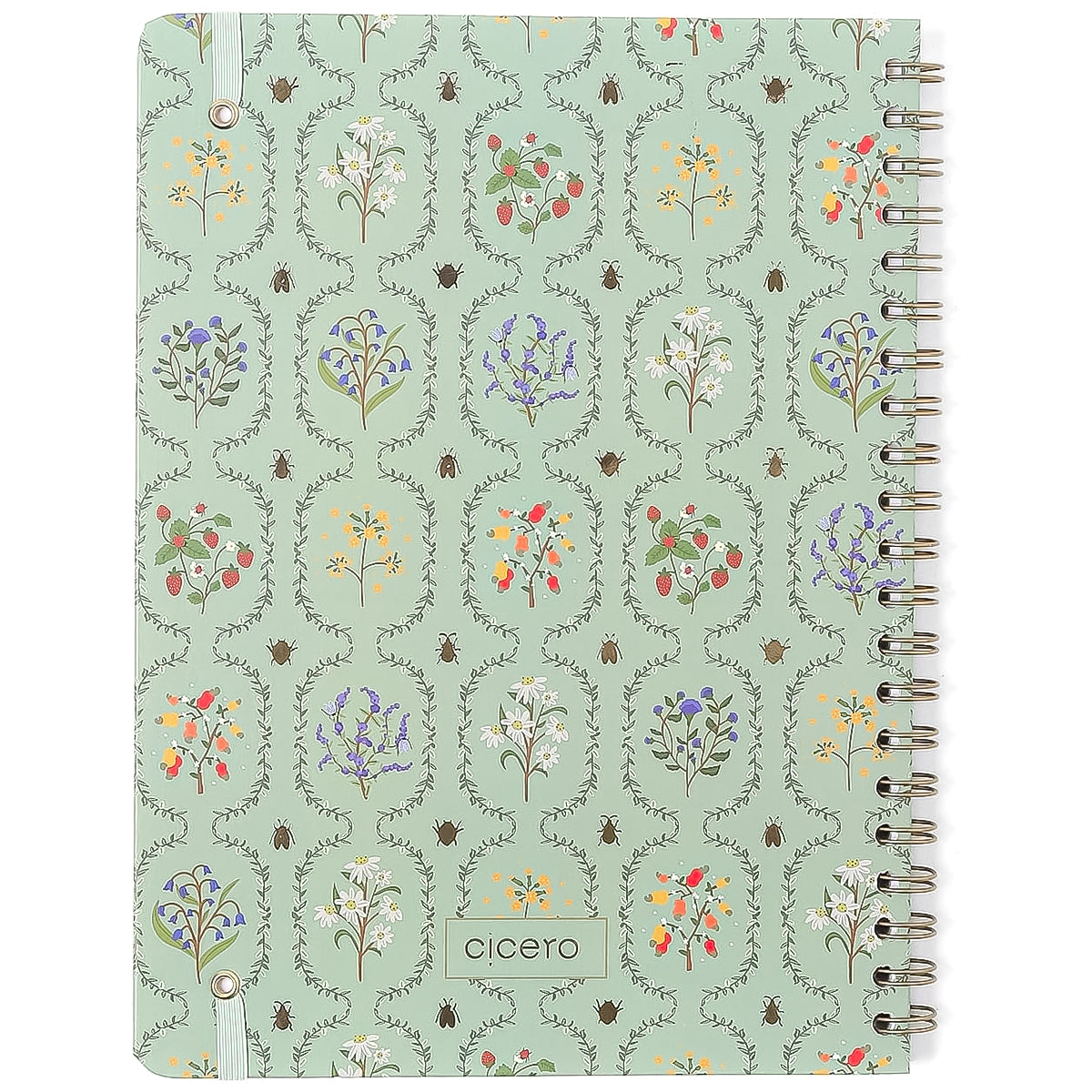 Caderno Universitario Cicero Espiral 20x28cm 80 Folhas Pautado Jardim