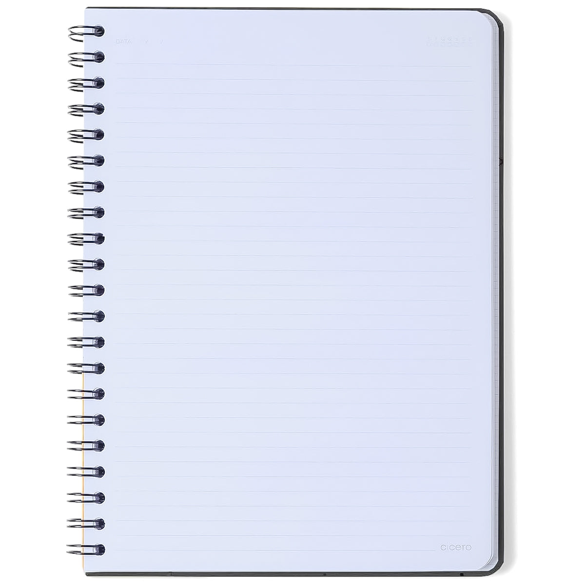 Caderno Universitario Cicero Espiral 20x28cm 80 Folhas Pautado Jardim