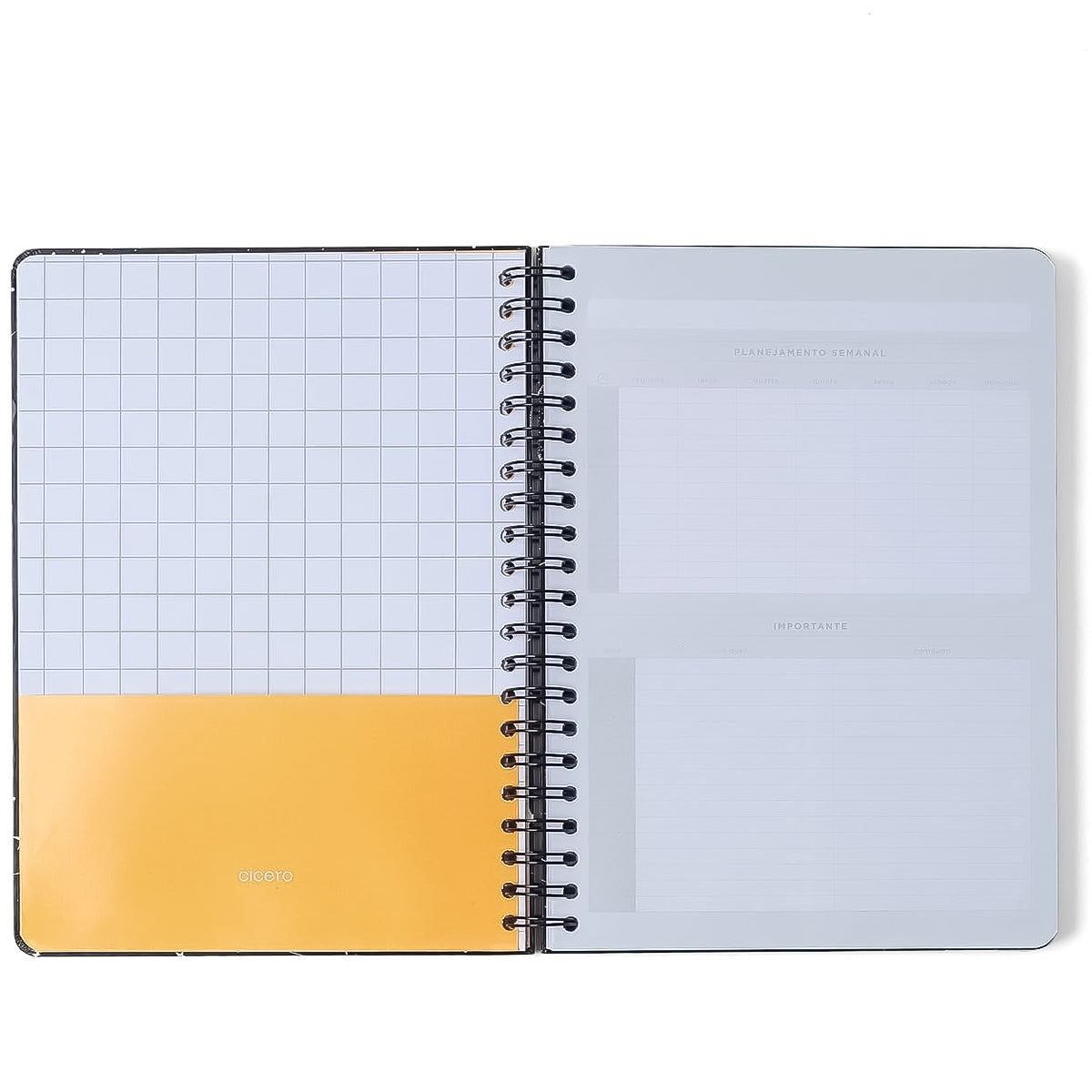 Caderno Universitario Cicero Espiral 20x28cm 160 Folhas Pautado Melissa