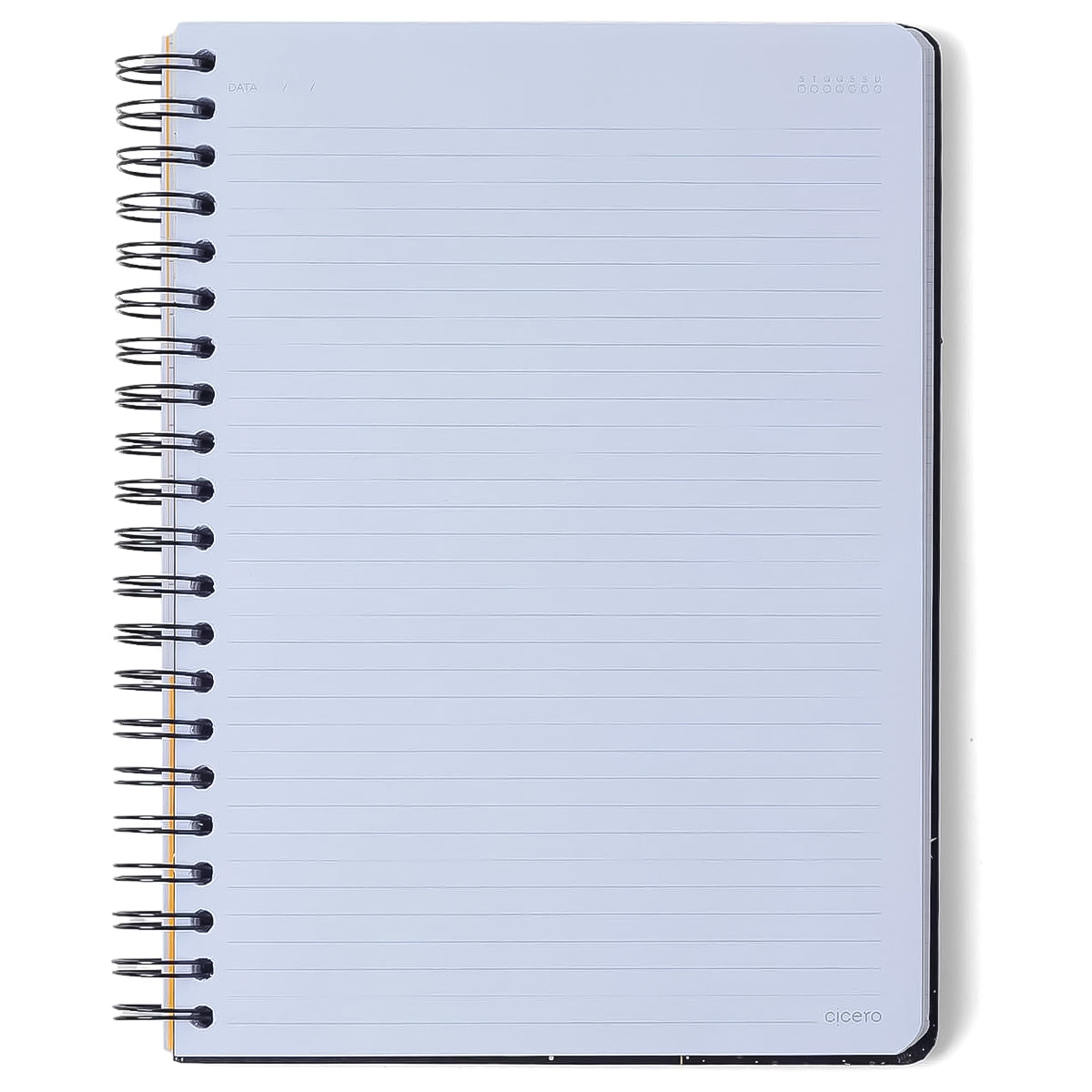 Caderno Universitario Cicero Espiral 20x28cm 160 Folhas Pautado Melissa