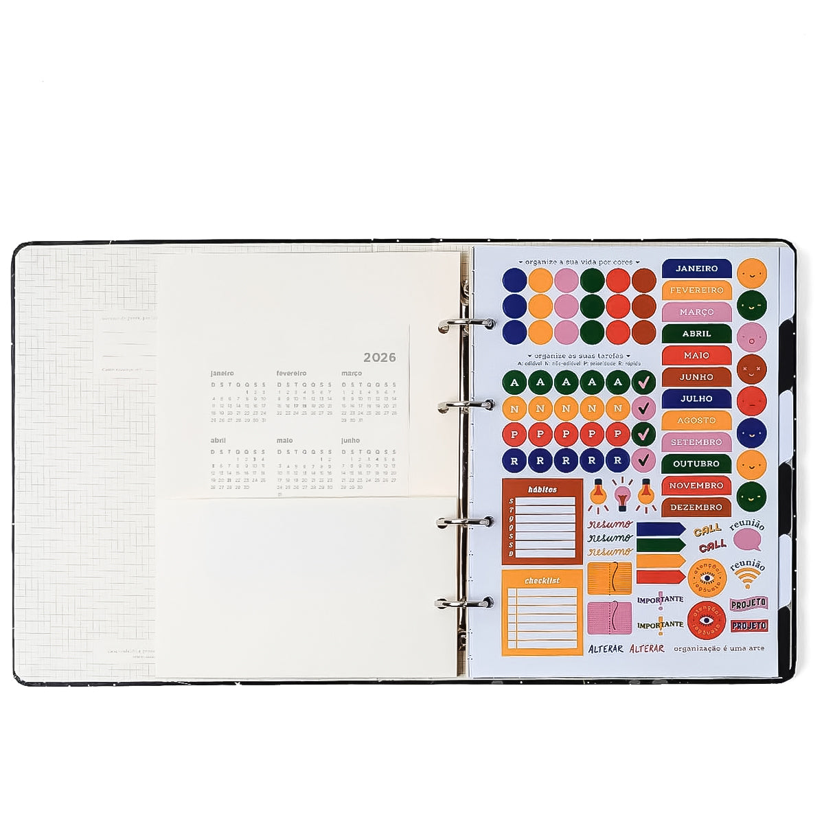 Caderno Criativo Cicero Argolado 170x240mm 100 Folhas Pautado Jardim