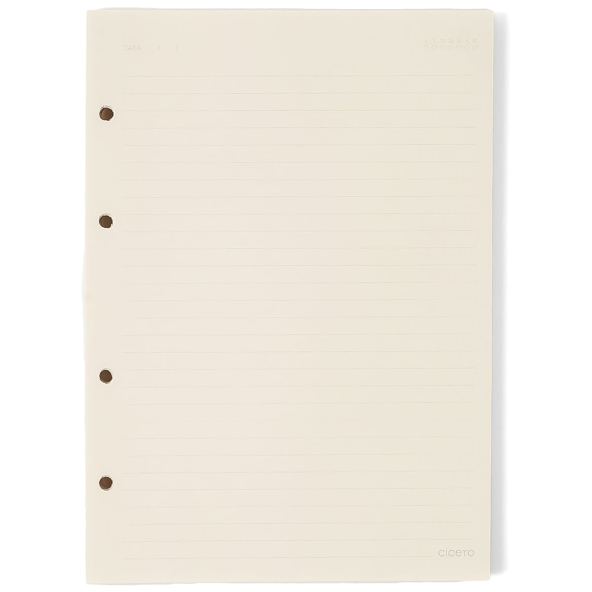 Caderno Criativo Cicero Argolado 170x240mm 100 Folhas Pautado Jardim