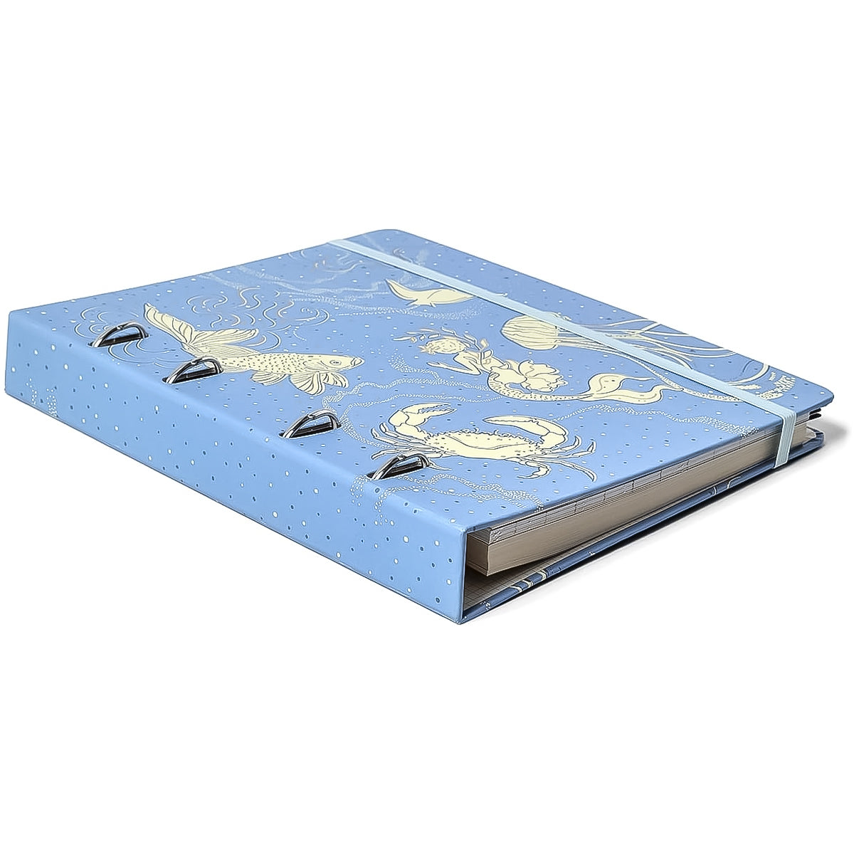 Caderno Criativo Cicero Argolado 170x240mm 100 Folhas Pautada Origens 