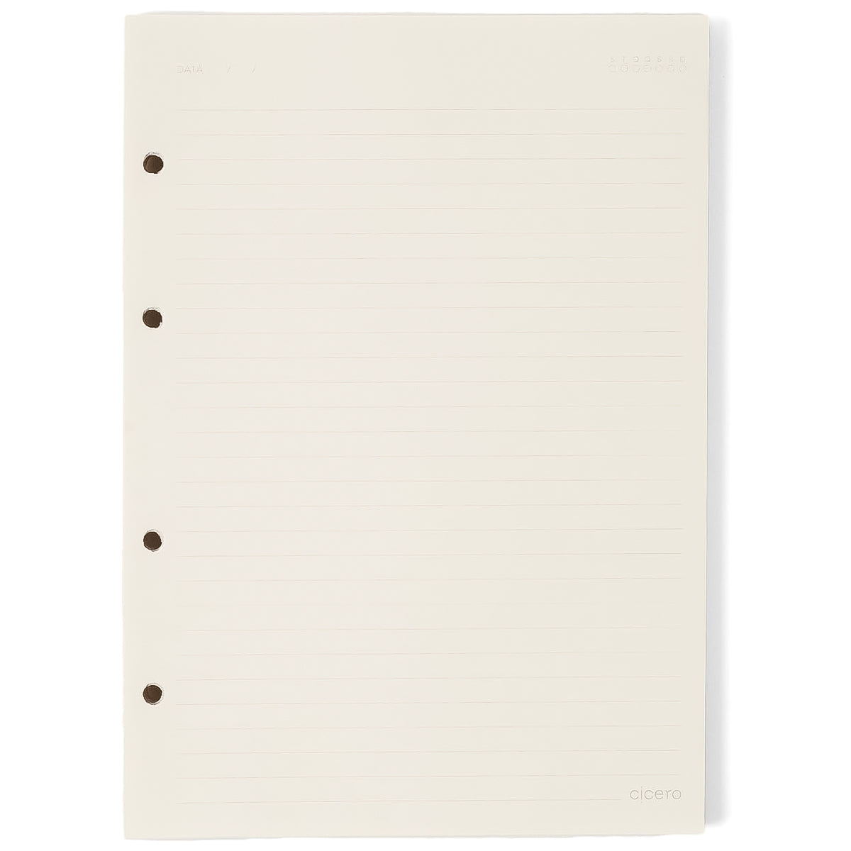 Caderno Criativo Cicero Argolado 170x240mm 100 Folhas Pautada Origens 