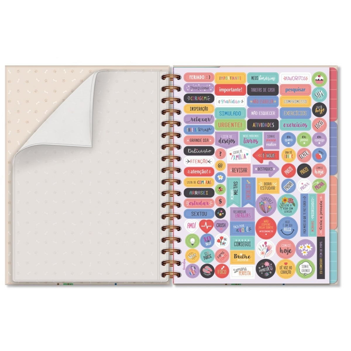 Caderno Colegial Folhas Removíveis 90g/m² 16,5x23,2cm com 80 Folhas Cachorro na Janela - Fina Ideia