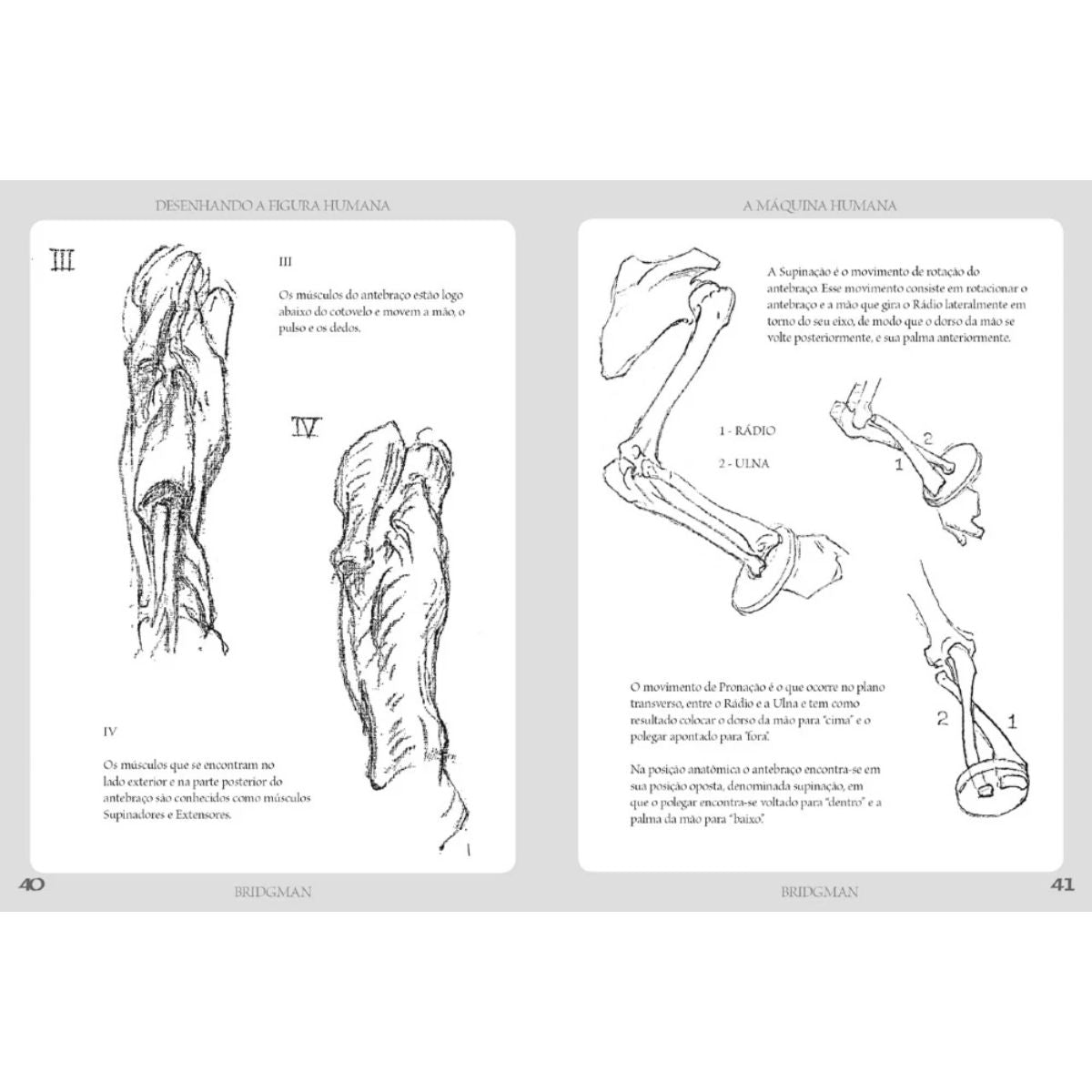 Livro Desenhando a Figura Humana - a Máquina Humana - George B. Bridgman - Criativo