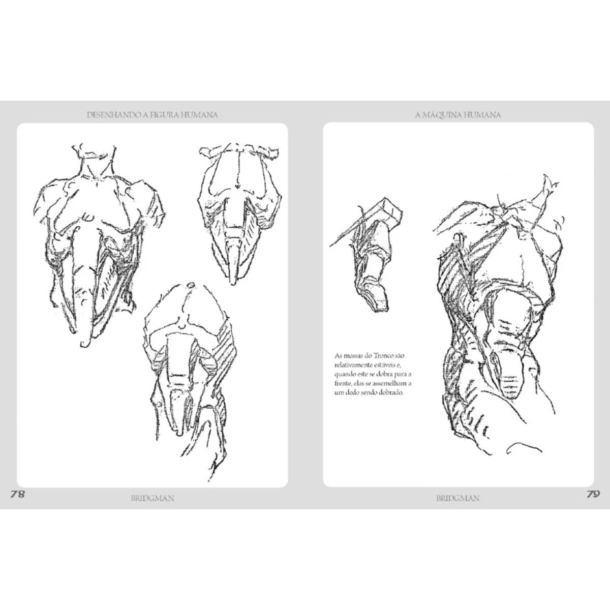 Livro Desenhando a Figura Humana - a Máquina Humana - George B. Bridgman - Criativo