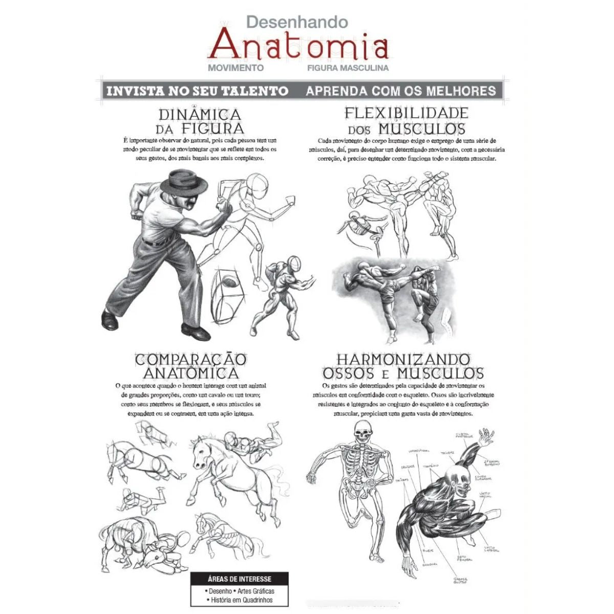 Livro Desenhando Anatomia, Movimento e Figura Masculina - Eduardo Schloesser - Criativo