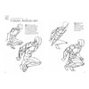 Livro Desenhando Anatomia, Movimento e Figura Masculina - Eduardo Schloesser - Criativo