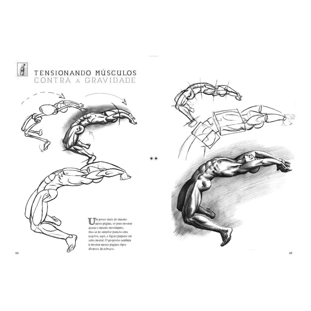 Livro Desenhando Anatomia, Movimento e Figura Masculina - Eduardo Schloesser - Criativo