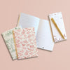 Conjunto de Papelaria 3 Cadernos 32 Folhas Cada + 1 Caneta Dac - 5343