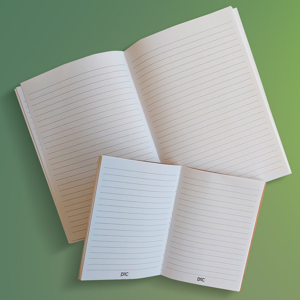 Conjunto de Papelaria 2 Cadernos 32 Folhas Cada A5 70g/m² Dac - 5344
