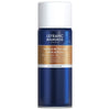 Verniz Spray Retoucher para Retoque 400ml - Lefranc Bourgeois