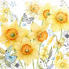 Guardanapo para Decoupage Ambiente 33x33cm com 20 Unidades - Narcisos Clássicos