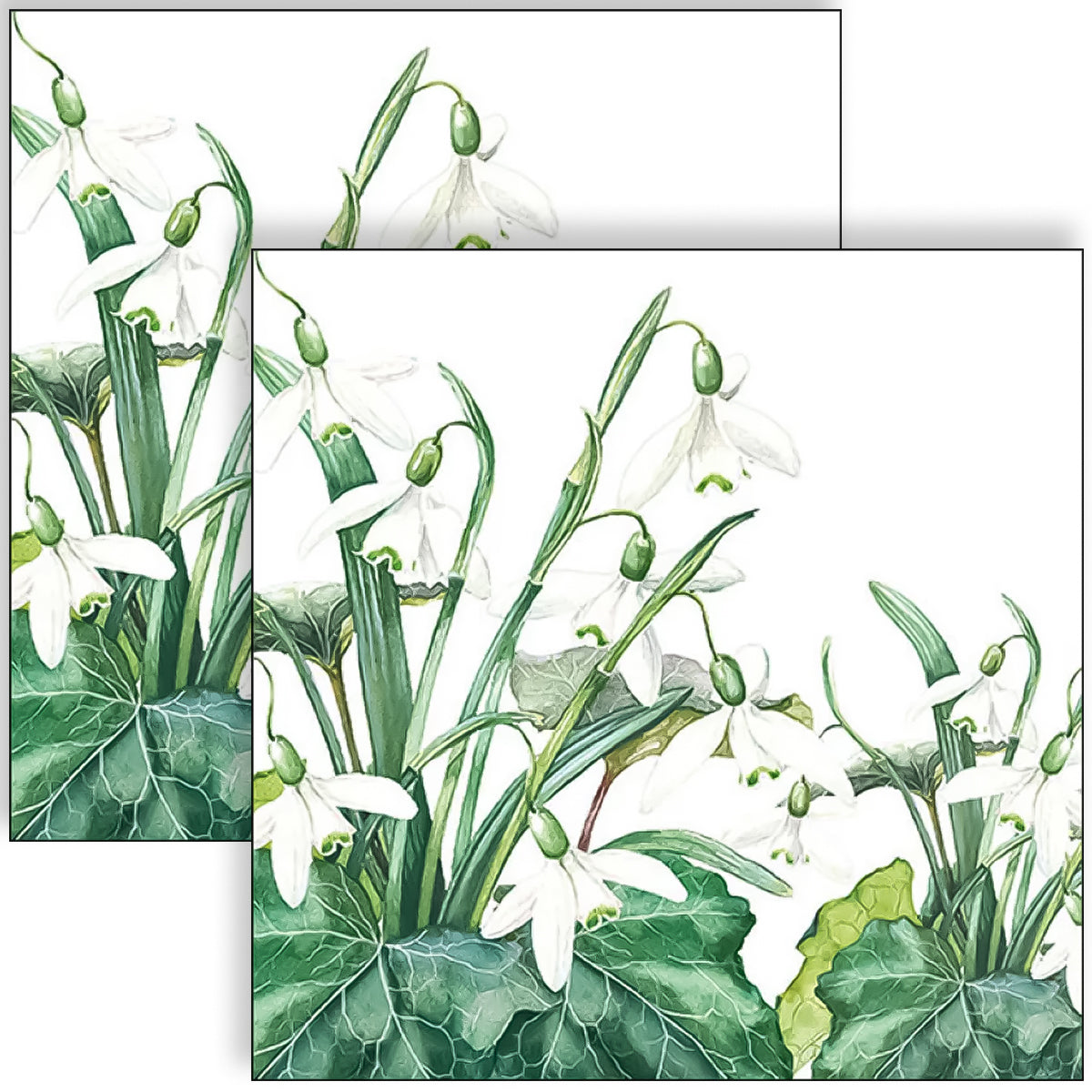 Guardanapo para Decoupage Ambiente 33x33cm com 20 Unidades - Flores Brancas