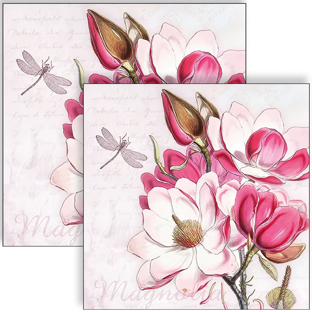 Guardanapo para Decoupage Ambiente 33x33cm com 2 Unidades - Flores & Animais 