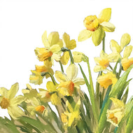 Guardanapo para Decoupage Ambiente 33x33cm com 20 Unidades - Narcisos Dourados