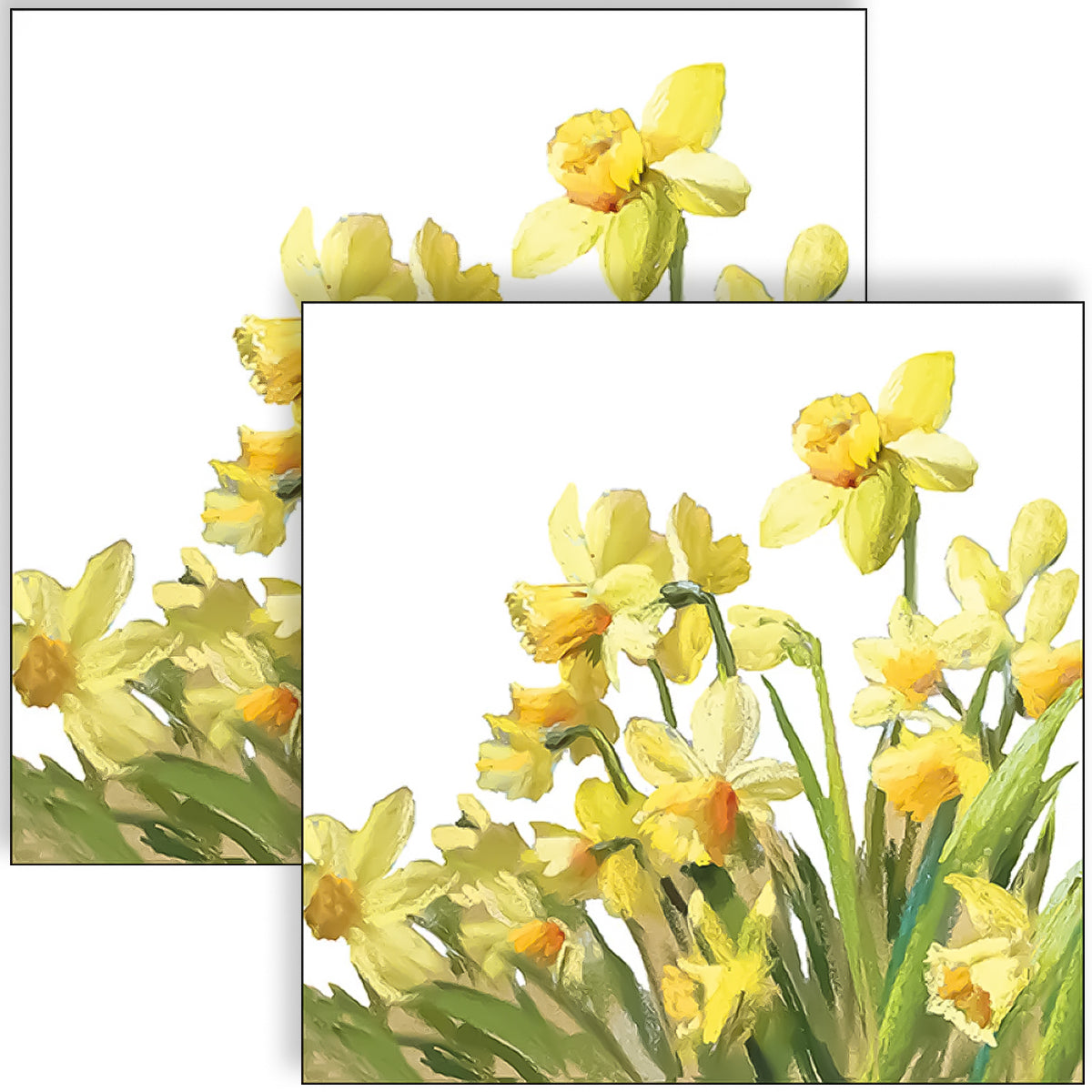 Guardanapo para Decoupage Ambiente 33x33cm com 20 Unidades - Narcisos Dourados