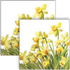 Guardanapo para Decoupage Ambiente 33x33cm com 2 Unidades - Narcisos Dourados