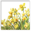 Guardanapo para Decoupage Ambiente 33x33cm com 2 Unidades - Narcisos Dourados