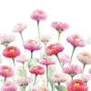 Guardanapo para Decoupage Ambiente 33x33cm com 20 Unidades - Bellis Coloridas