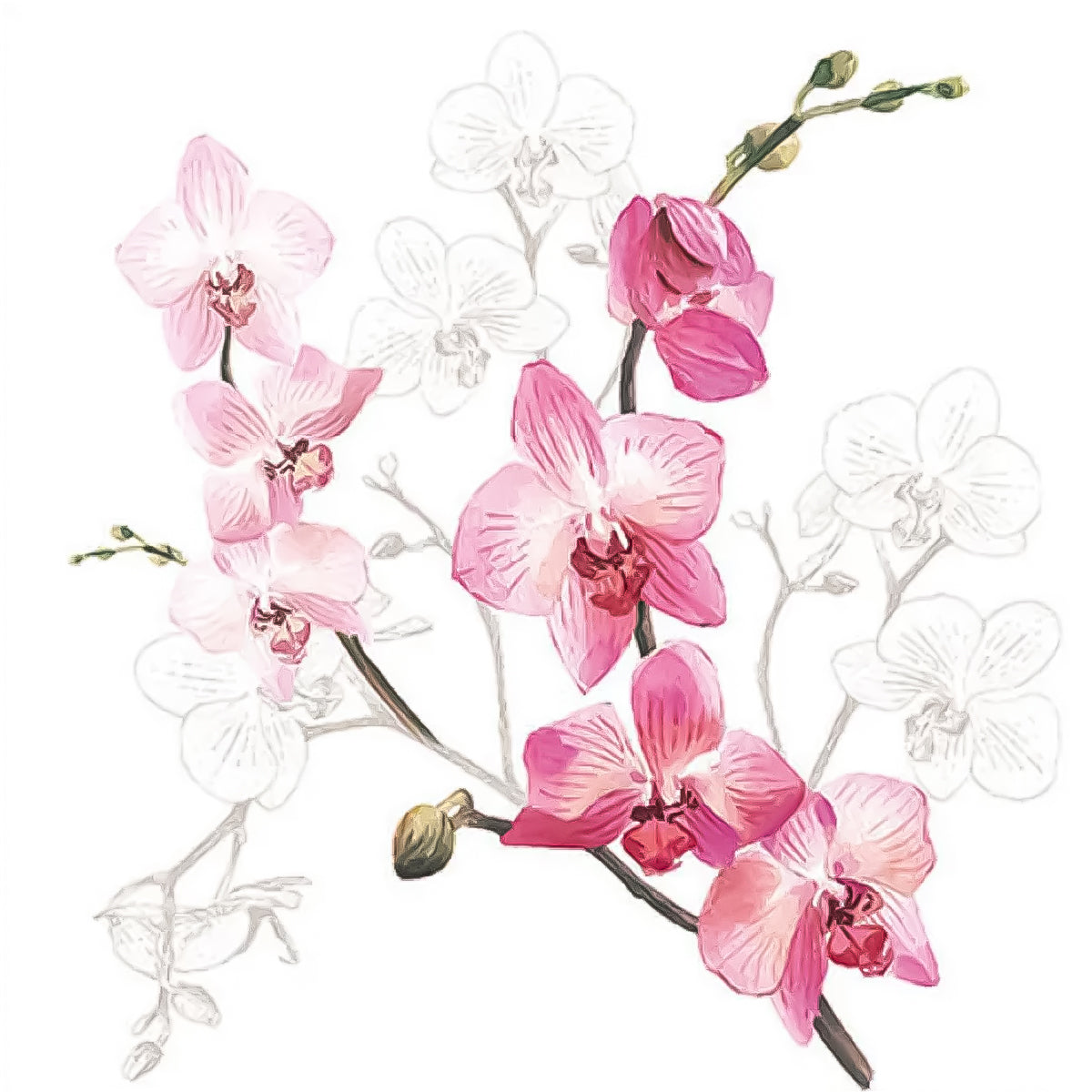 Guardanapo para Decoupage Ambiente 33x33cm com 20 Unidades - Orquídea