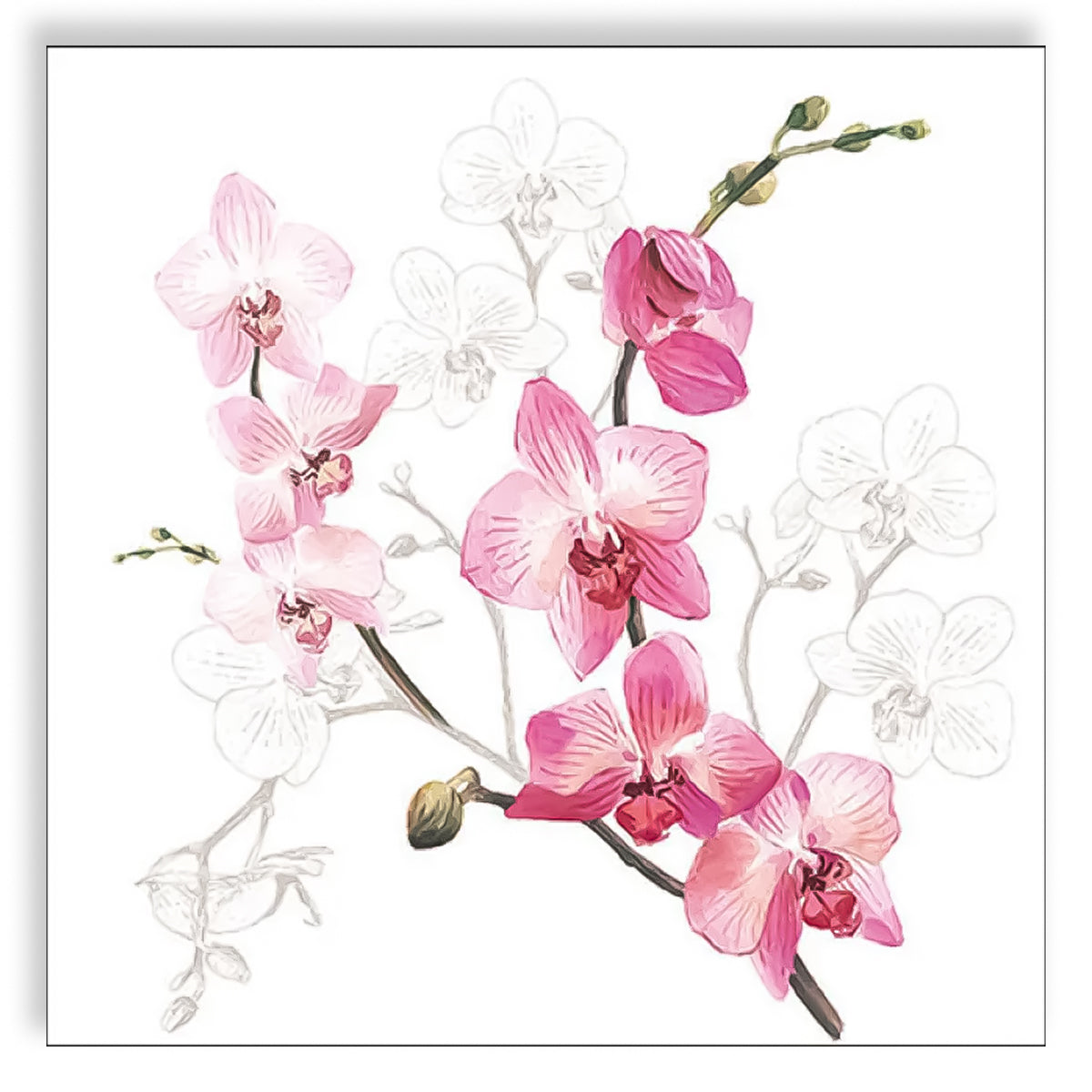 Guardanapo para Decoupage Ambiente 33x33cm com 20 Unidades - Orquídea
