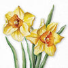 Guardanapo para Decoupage Ambiente 33x33cm com 20 Unidades - Narcisos em Flor