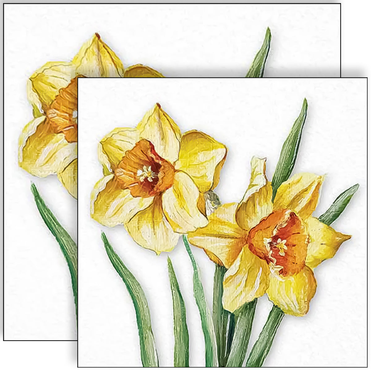 Guardanapo para Decoupage Ambiente 33x33cm com 2 Unidades - Narcisos em Flor