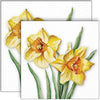 Guardanapo para Decoupage Ambiente 33x33cm com 2 Unidades - Narcisos em Flor