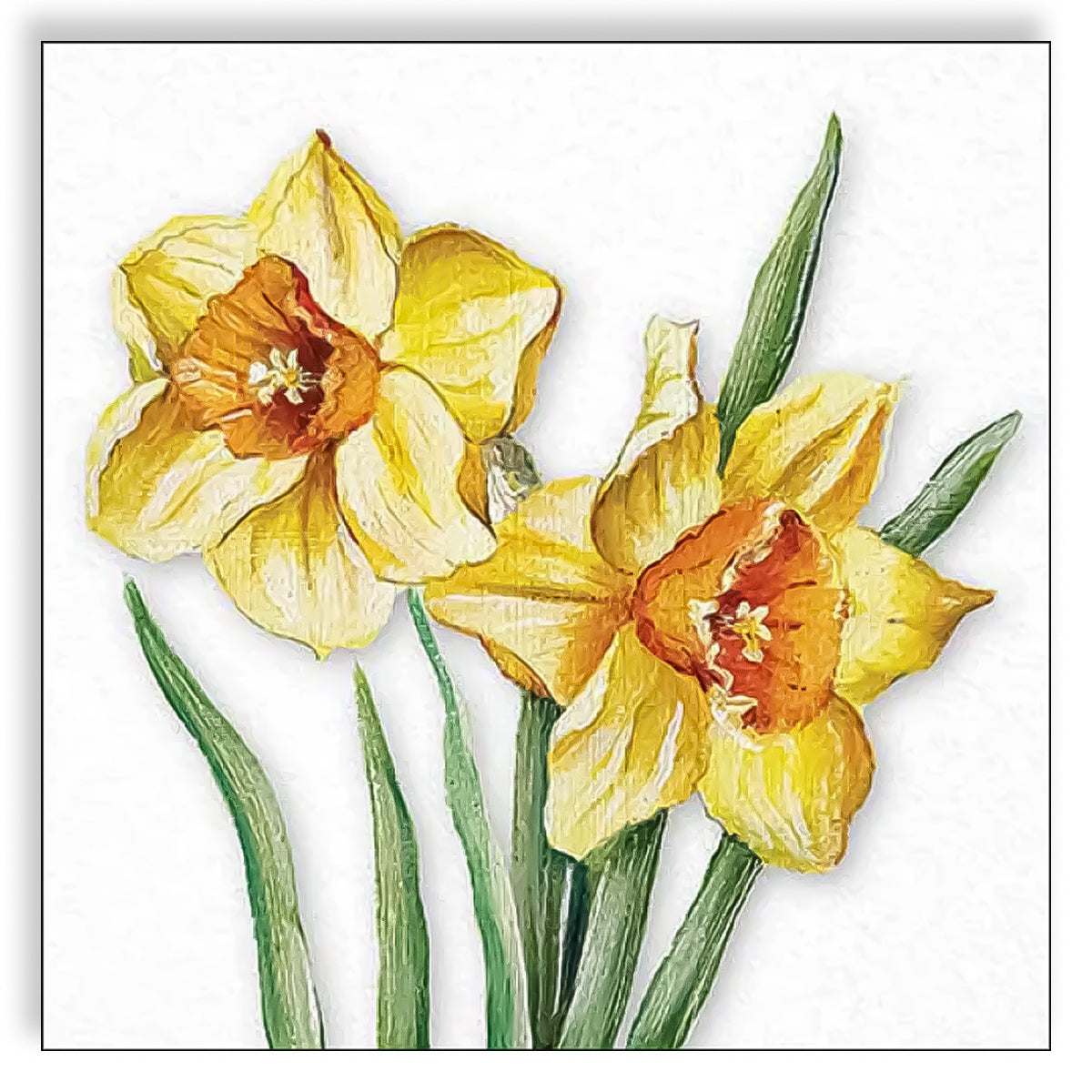 Guardanapo para Decoupage Ambiente 33x33cm com 20 Unidades - Narcisos em Flor
