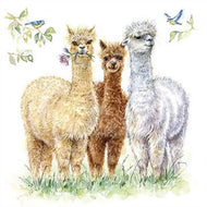 Guardanapo para Decoupage Ambiente 33x33cm com 2 Unidades - Lhamas