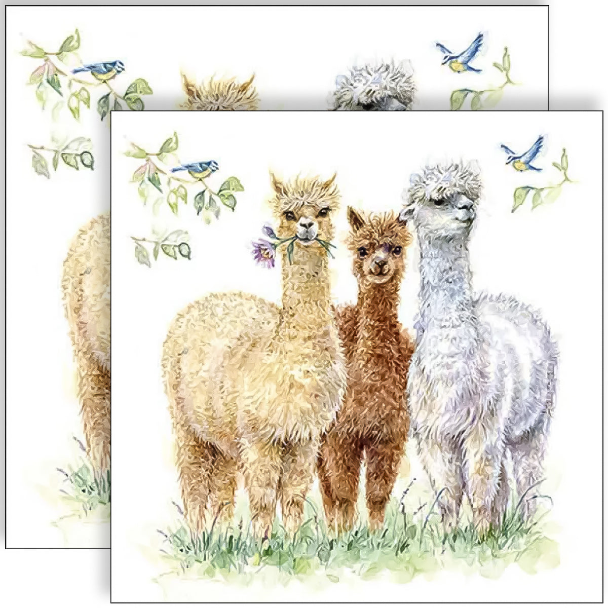 Guardanapo para Decoupage Ambiente 33x33cm com 2 Unidades - Lhamas