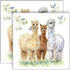 Guardanapo para Decoupage Ambiente 33x33cm com 20 Unidades - Lhamas