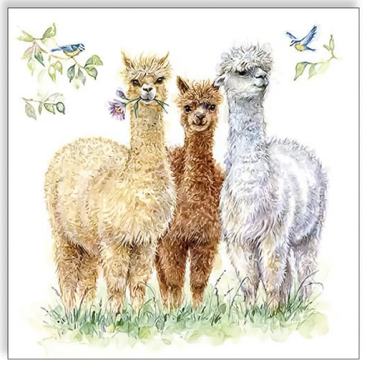 Guardanapo para Decoupage Ambiente 33x33cm com 2 Unidades - Lhamas