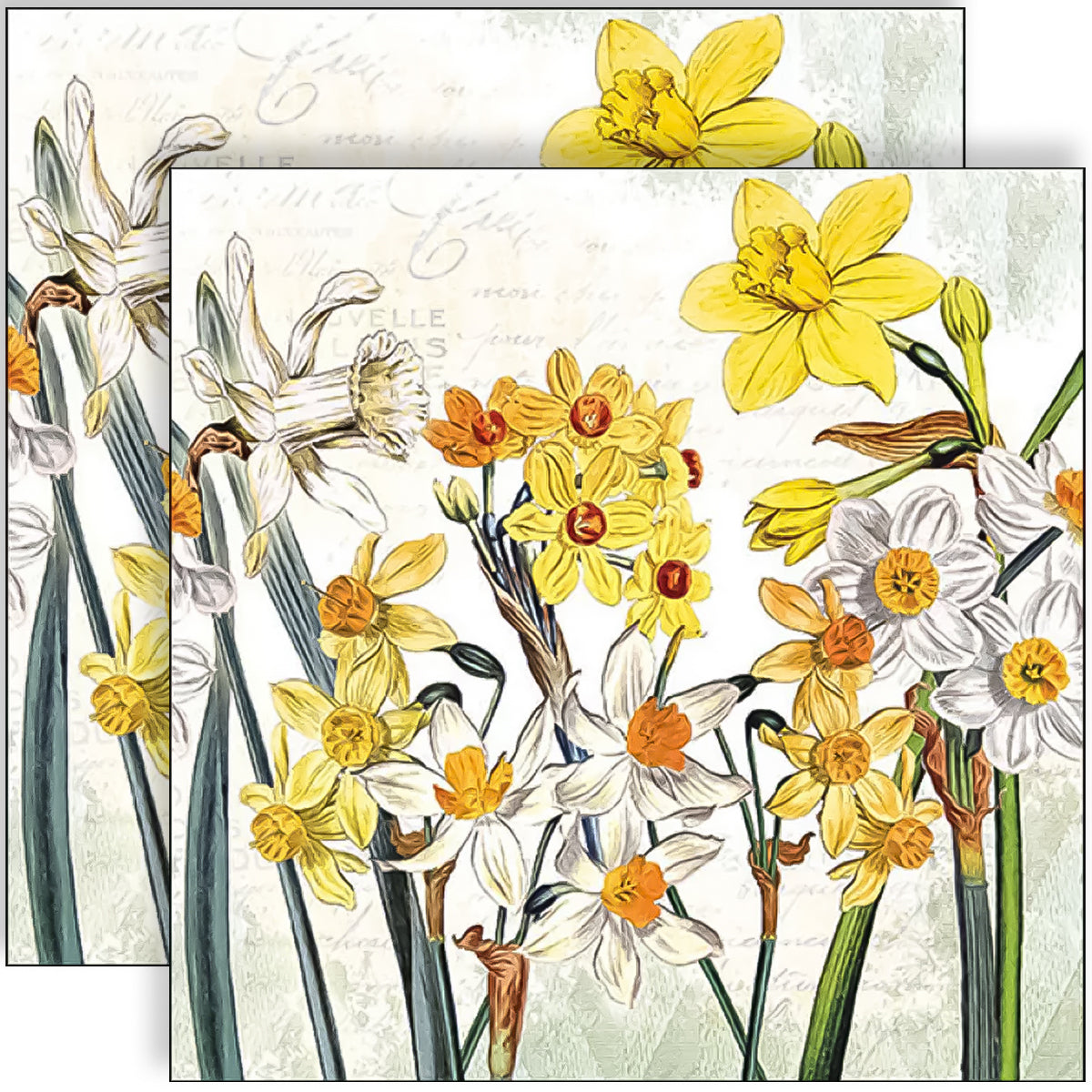 Guardanapo para Decoupage Ambiente 33x33cm com 2 Unidades - Narciso