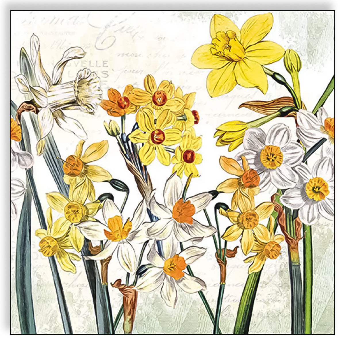Guardanapo para Decoupage Ambiente 33x33cm com 2 Unidades - Narciso
