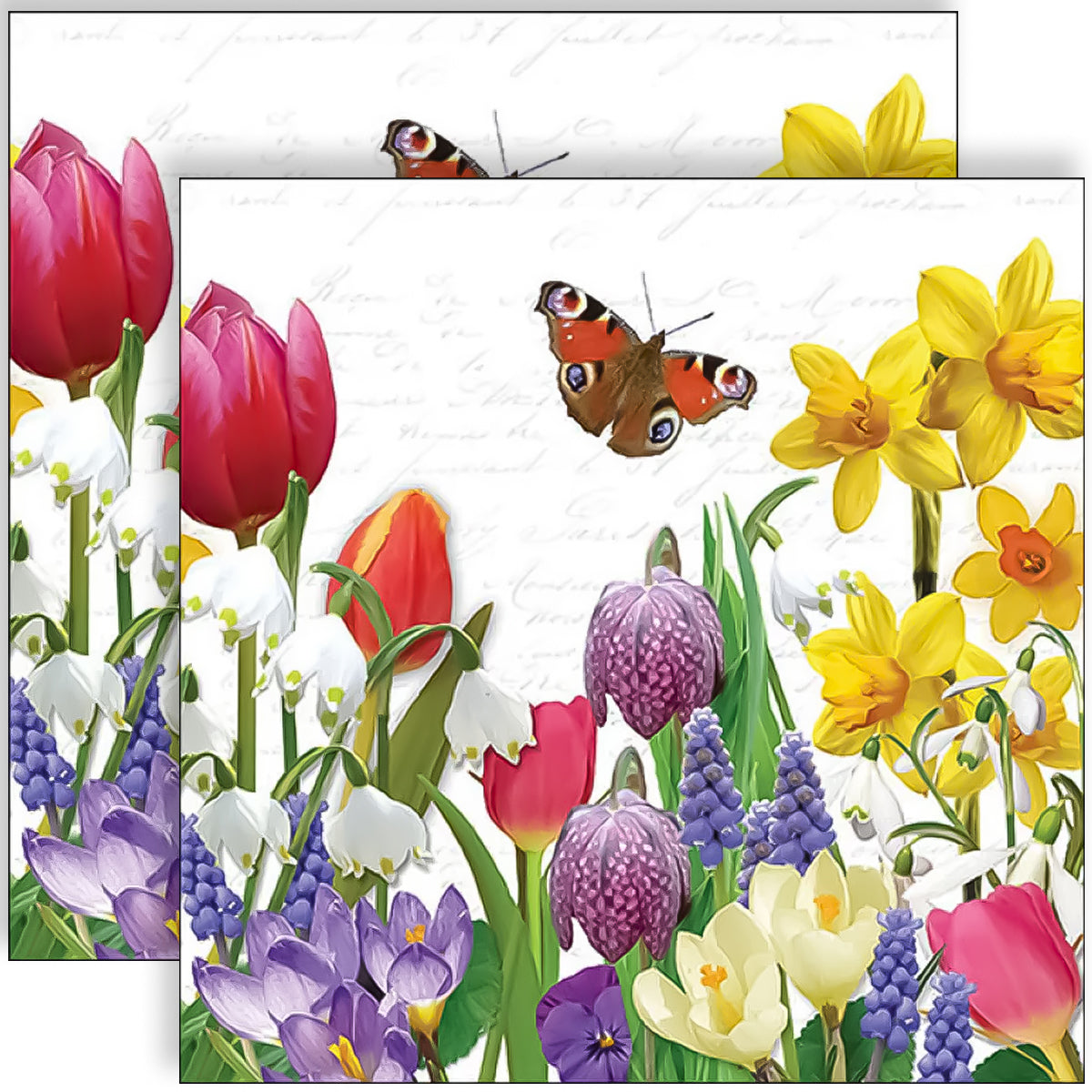 Guardanapo para Decoupage Ambiente 33x33cm com 20 Unidades - Narcisios & Borboleta