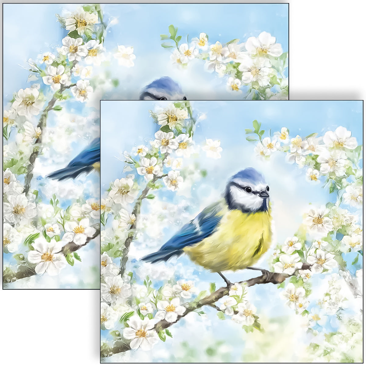 Guardanapo para Decoupage Ambiente 33x33cm com 2 Unidades - Flores & Pássaros