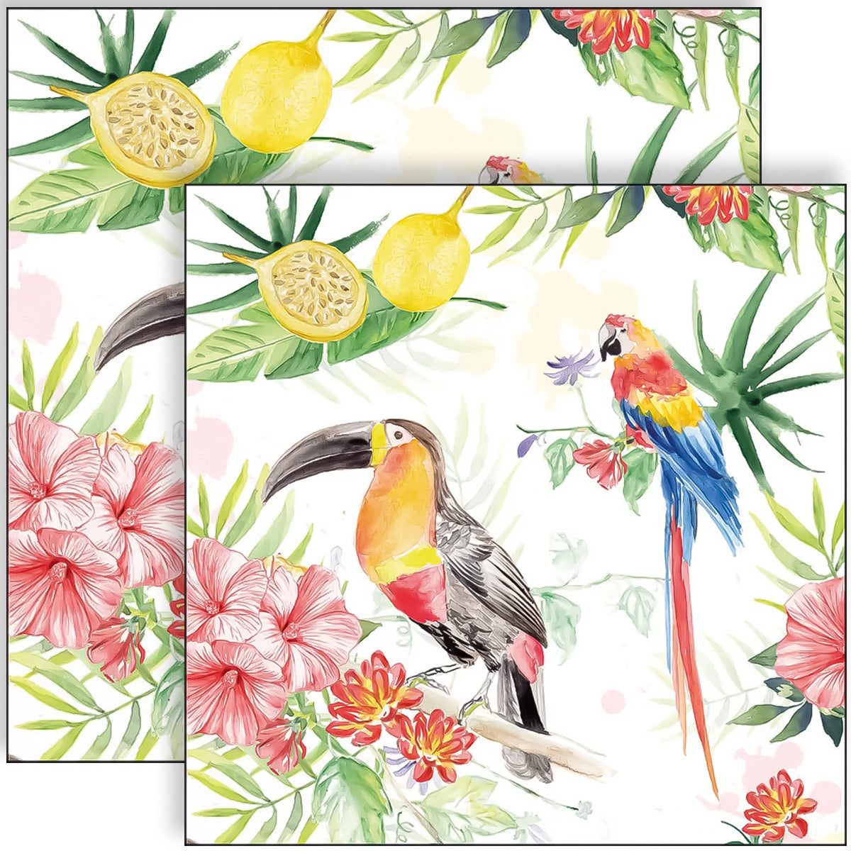 Guardanapo para Decoupage Ambiente 33x33cm com 20 Unidades - Aves Tropicais