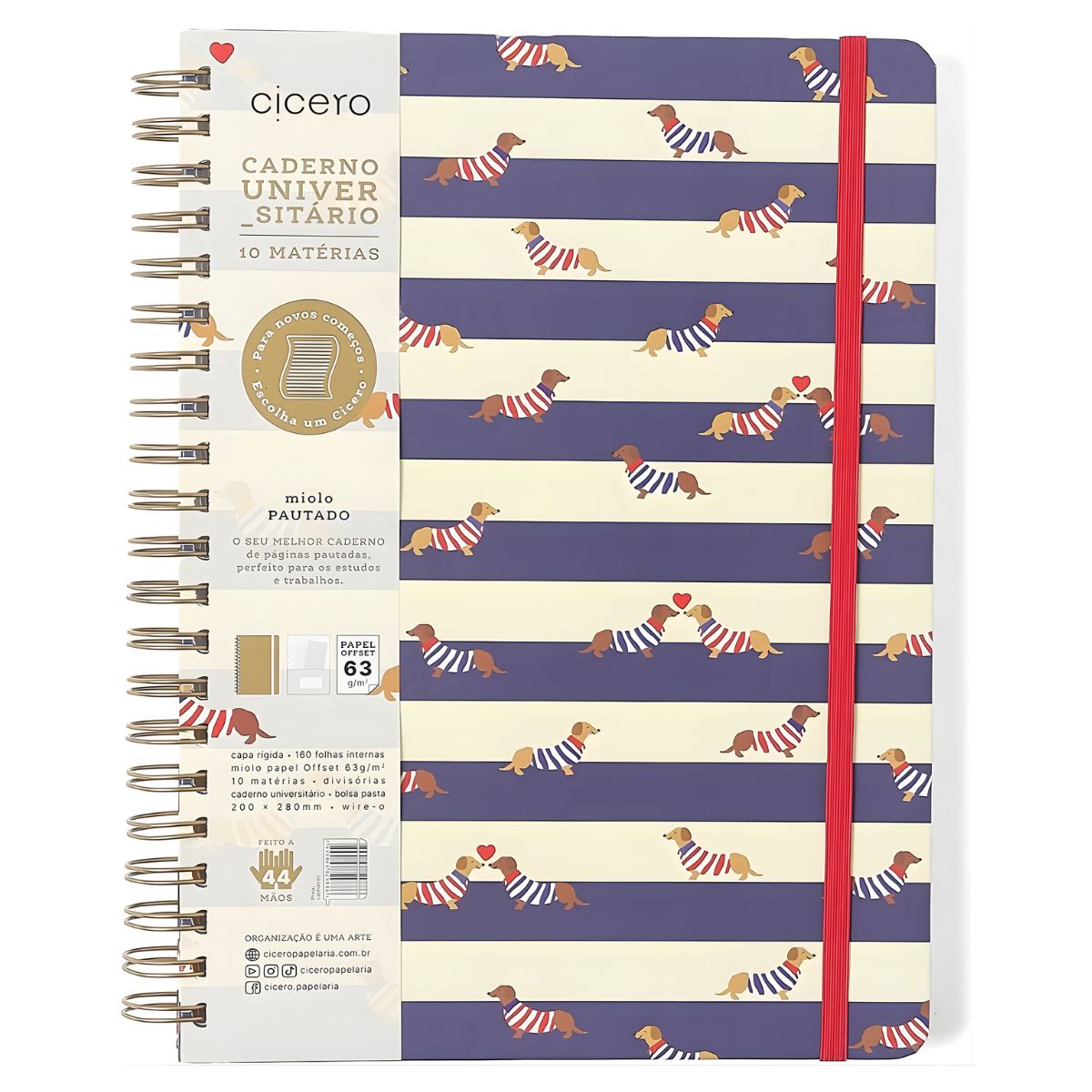 Caderno Universitário Espiral Praia Pautado Cachorros para Estudos e Anotações - Cícero