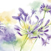 Guardanapo para Decoupage Ihr - Flor Agapanto Lilas Fundo Aquarelado 02 Unidades