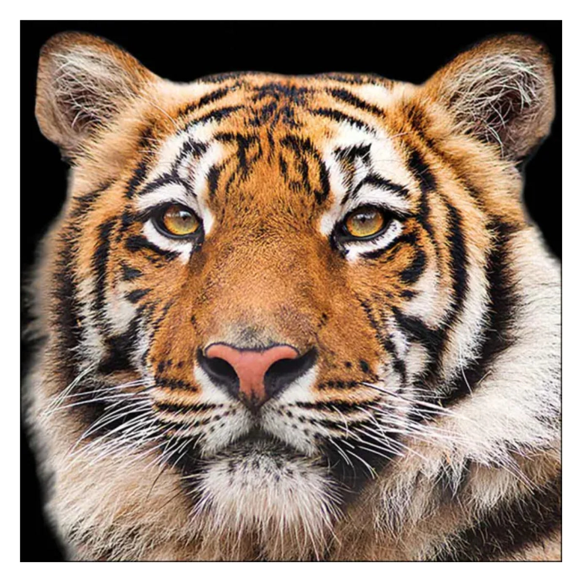 Guardanapo para Decoupage Ambiente 33x33cm com 02 Unidades - Tigre de Bengala