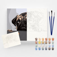 MEU PUG