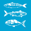 Stencil Náutico Peixes 20x25cm para Pintura Decorativa e Artesanato 3778 - Opa