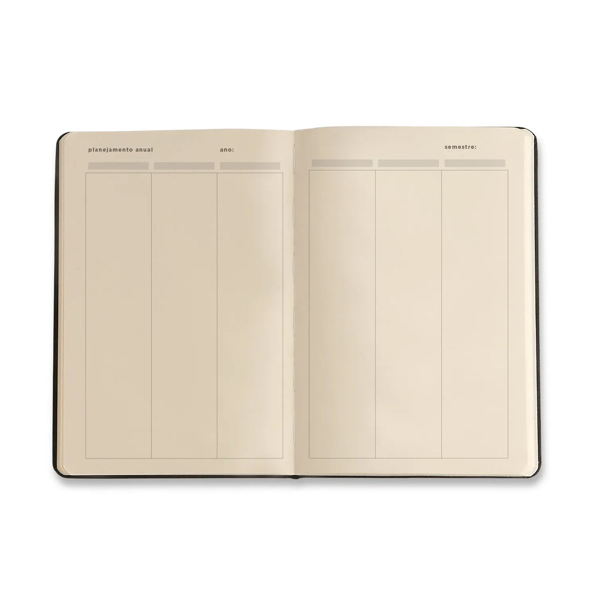 Planner Permanente Caderneta Frutare 14x21cm Pomelo para Planejamento e Organização - Cícero