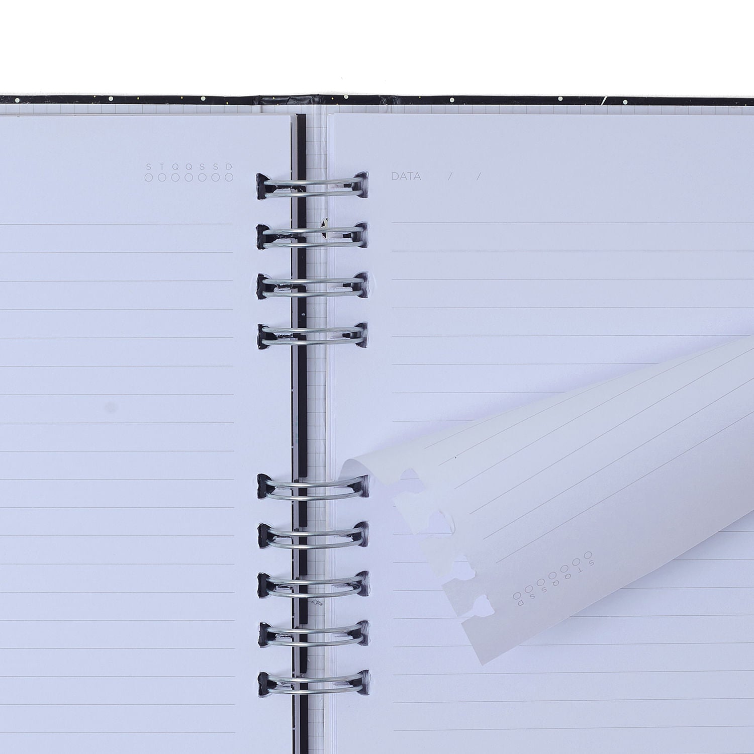Caderno Organizador Quintal Literário 90g/m² 17x24cm com 90 Páginas Pautado & Pontado - Dia - Cícero